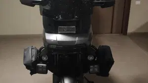Harley-Davidson Pan America 1250 Special (2020 - 25)  (14)