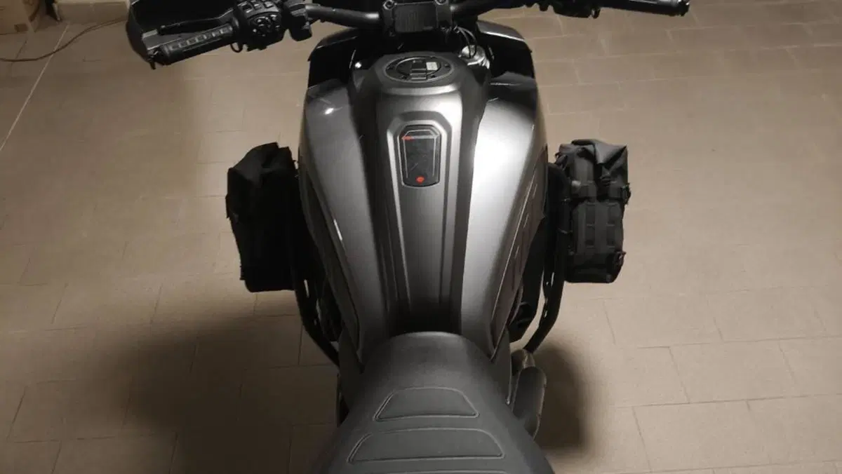 Harley-Davidson Pan America 1250 Special (2020 - 25)  (15)