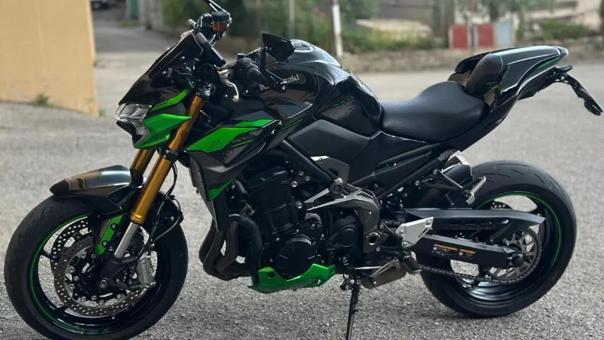 Kawasaki Z 900 SE Performance (2023 - 24)  (5)