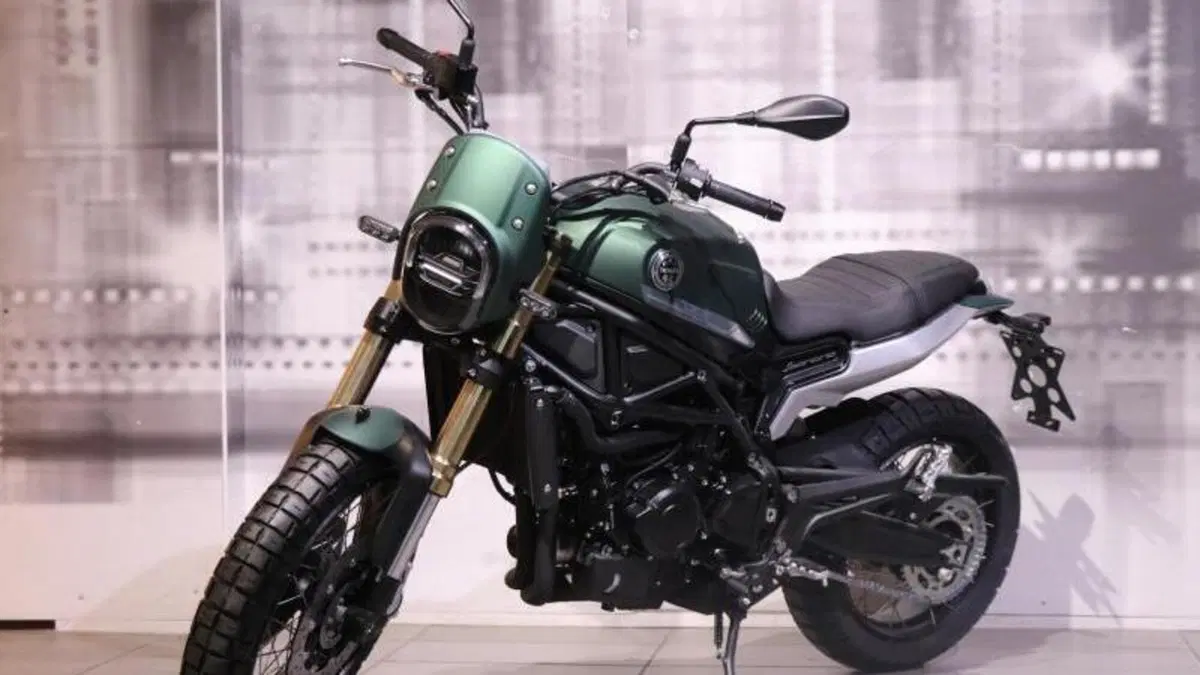 Benelli Leoncino 800 (2022 - 26)  (7)