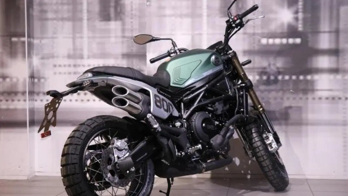 Benelli Leoncino 800 (2022 - 26)  (8)