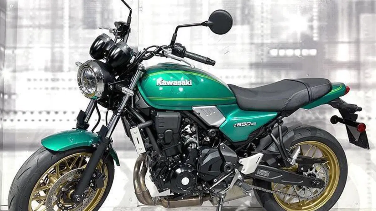 Kawasaki Z 650 RS (2022 - 24)  (7)