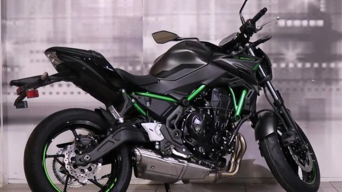 Kawasaki Z 650 (2021 - 24)  (8)