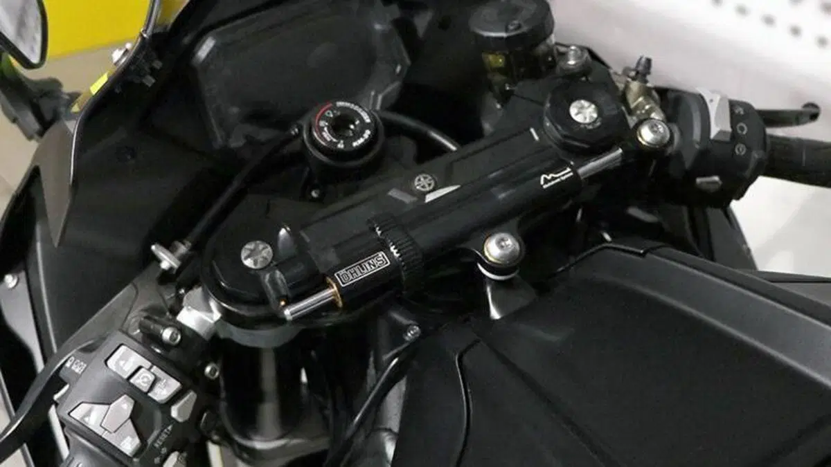 Kawasaki Ninja 1000 SX (2021 - 24)  (6)