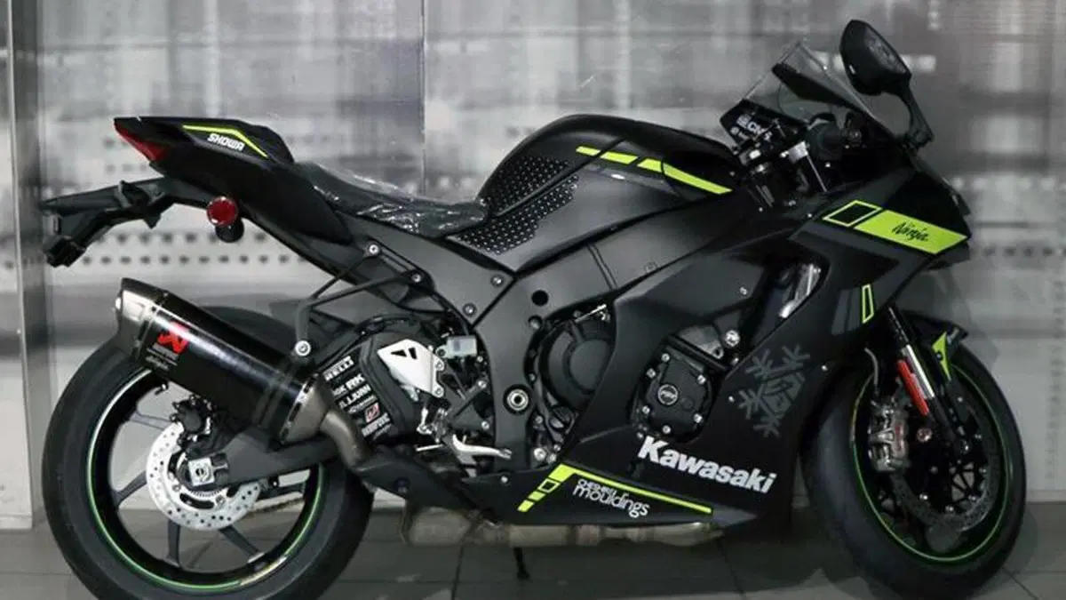 Kawasaki Ninja 1000 SX (2021 - 24)  (8)