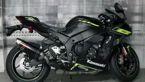 Kawasaki Ninja 1000 SX (2021 - 24)  (8)