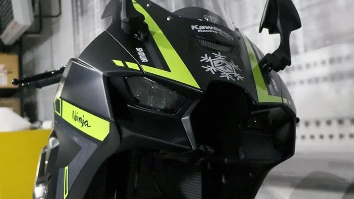 Kawasaki Ninja 1000 SX (2021 - 24)  (9)