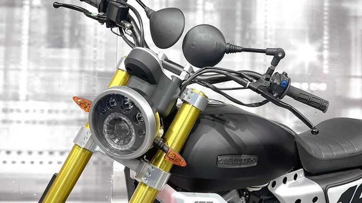 Fantic Motor Caballero 125 Flat Track (2021 - 24)  (9)