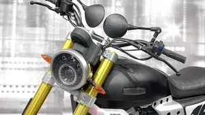 Fantic Motor Caballero 125 Flat Track (2021 - 24)  (9)