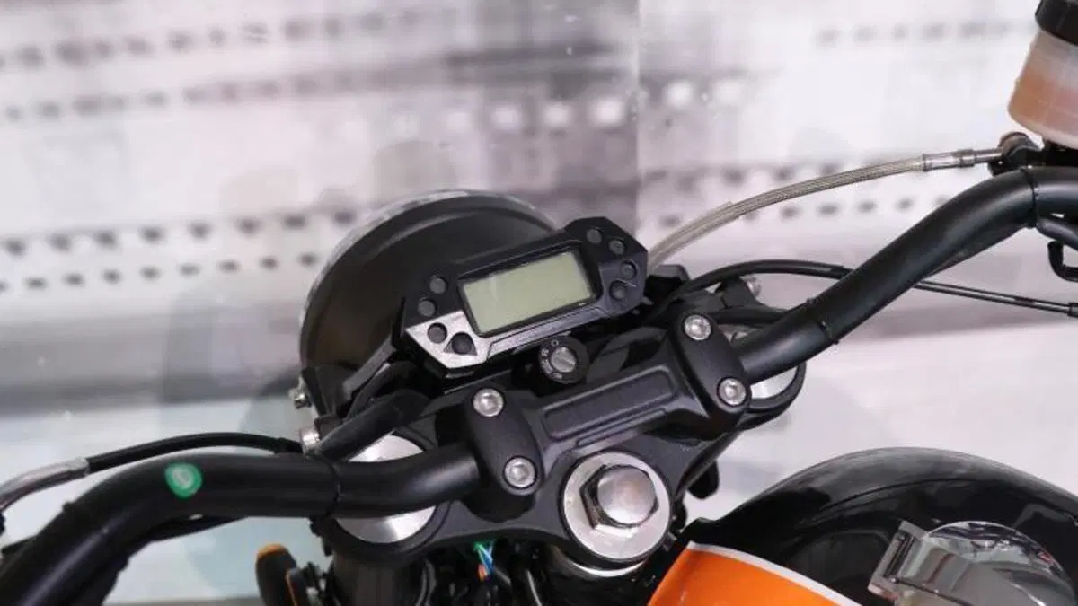 Mash Italia Dirt Track 650 (2019 - 20)  (6)