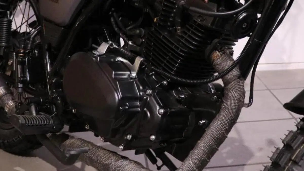 Brixton Motorcycles Felsberg 125 ABS (2021 - 25)  (9)
