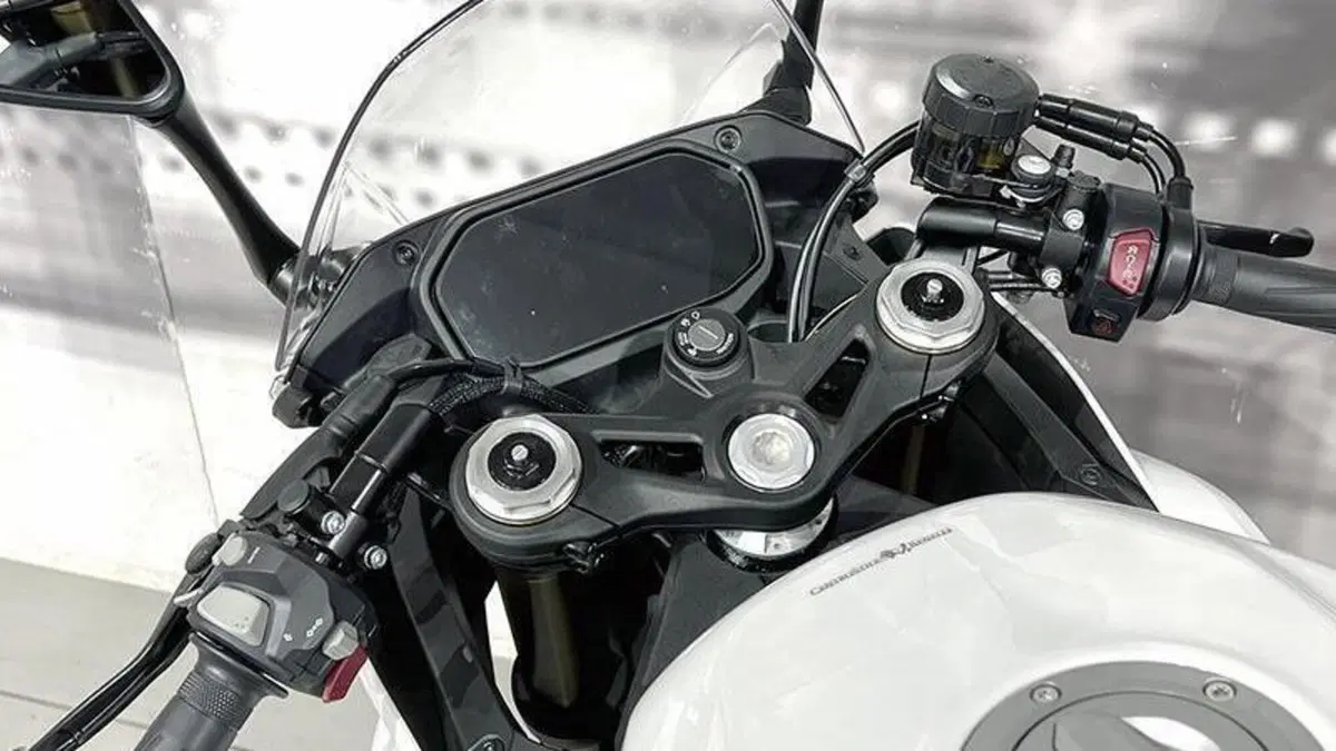 Benelli Tornado 550 (2025 - 26)  (6)
