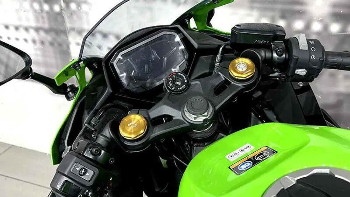 Kawasaki Ninja ZX-4RR (2024 - 26)  (6)