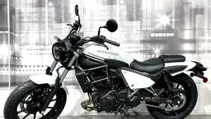 Kawasaki Eliminator 500 (2024 - 26)  (7)