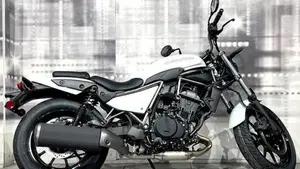 Kawasaki Eliminator 500 (2024 - 26)  (8)