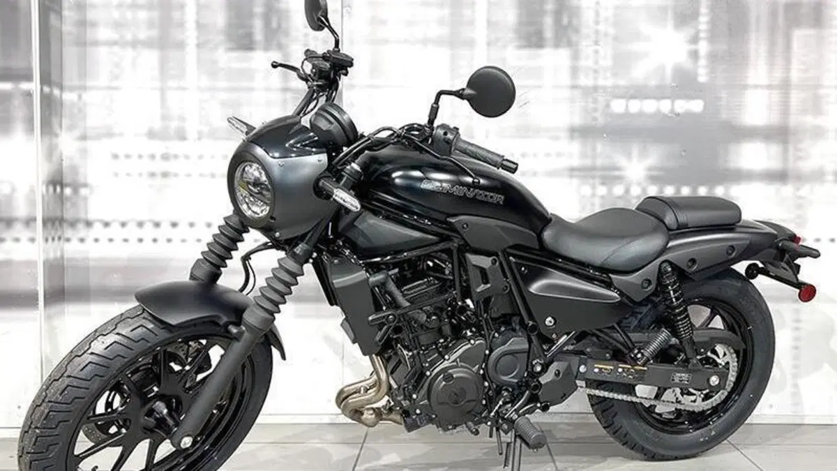 Kawasaki Eliminator 500 SE (2024 - 26)  (7)