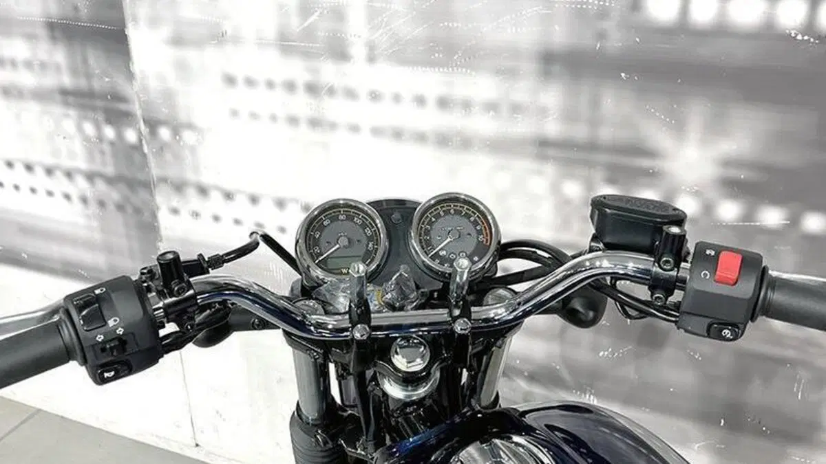 Kawasaki W 230 (2025 - 26)  (6)