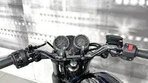 Kawasaki W 230 (2025 - 26)  (6)