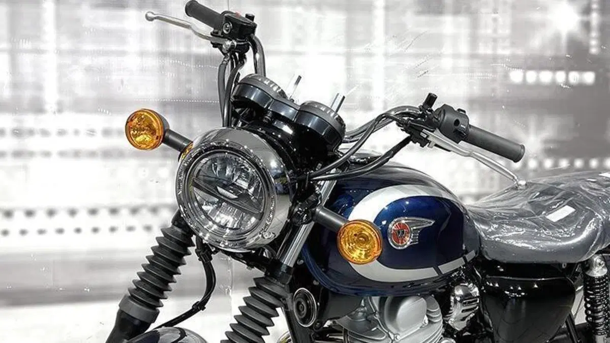 Kawasaki W 230 (2025 - 26)  (9)