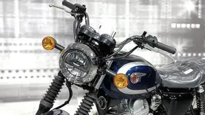 Kawasaki W 230 (2025 - 26)  (9)