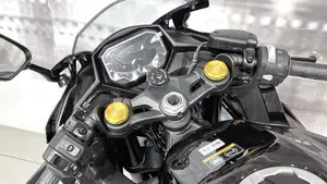 Kawasaki Ninja ZX-4R (2024 - 26)  (6)
