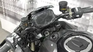 Kawasaki Z H2 SE (2025 - 26)  (6)
