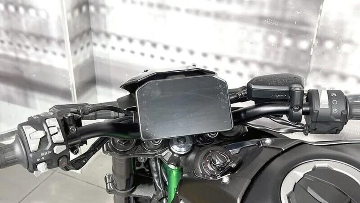 Kawasaki Z 900 A2 (2025 - 26)  (6)