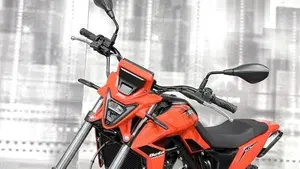 Betamotor Alp 4.0 (2024 - 26)  (9)