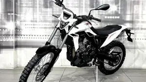 Betamotor Alp 4.0 (2024 - 26)  (7)