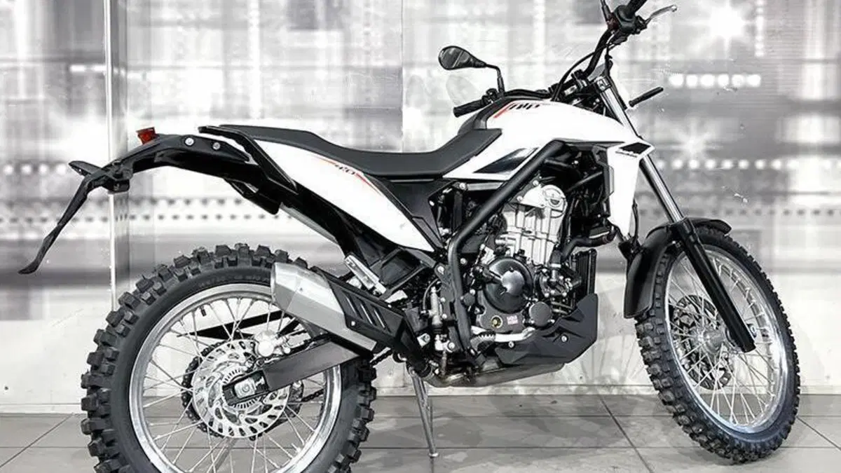 Betamotor Alp 4.0 (2024 - 26)  (8)