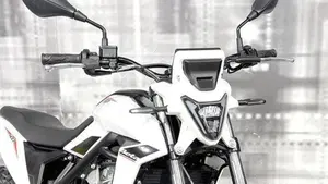 Betamotor Alp 4.0 (2024 - 26)  (9)