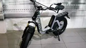 Fantic Motor Issimo (2019 - 23)  (7)