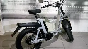 Fantic Motor Issimo (2019 - 23)  (8)