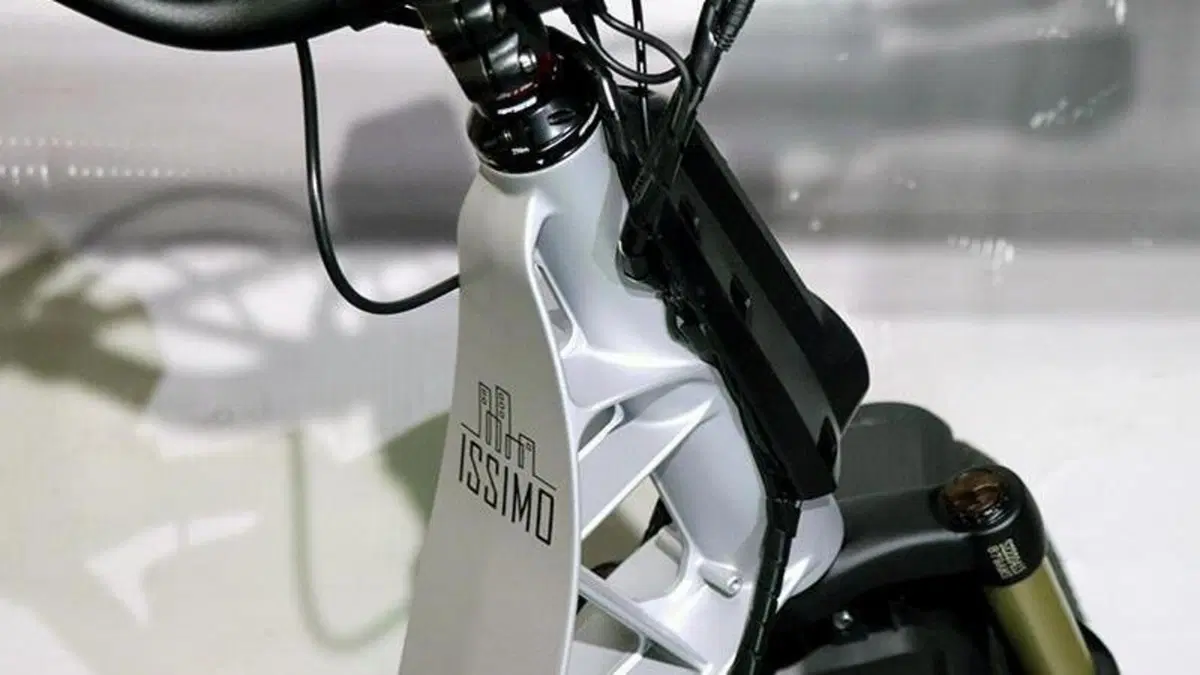 Fantic Motor Issimo (2019 - 23)  (9)