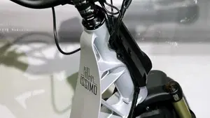 Fantic Motor Issimo (2019 - 23)  (9)