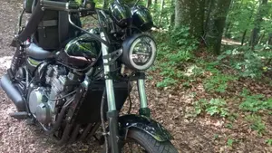 Kawasaki Eliminator 500 (2024 - 26) 