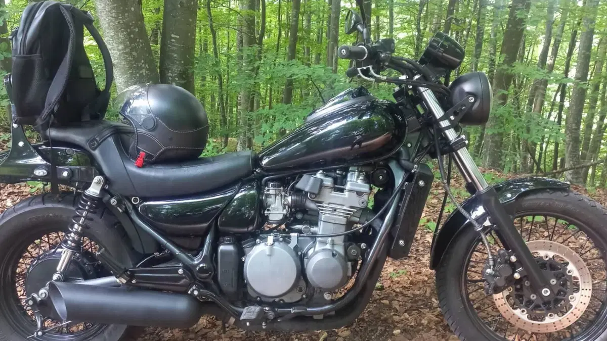 Kawasaki Eliminator 500 (2024 - 26)  (2)