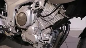 Yamaha TDM 850 (1996 - 01)  (9)
