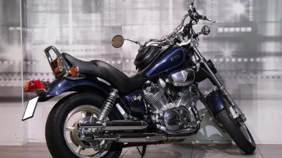 Yamaha XV 750 Virago (1987 - 98)  (8)
