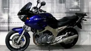 Yamaha TDM 900 (2002 - 14)  (6)