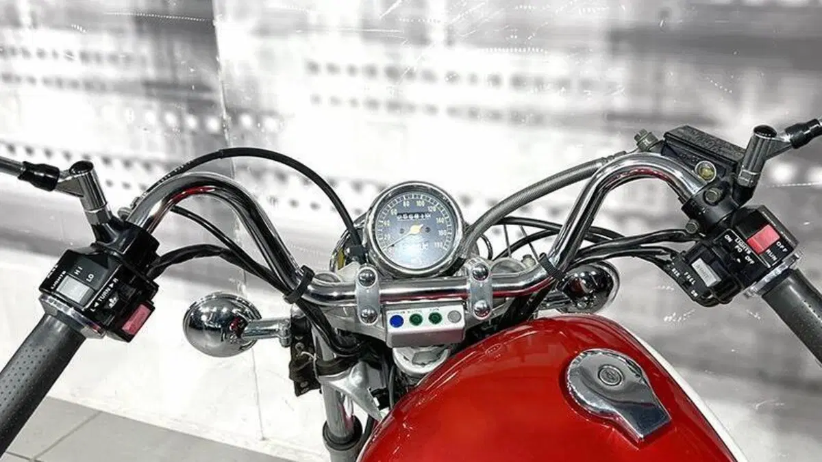 Yamaha XV 535 Virago (1992 - 98)  (6)