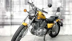 Yamaha XV 535 (1988 - 97)  (7)