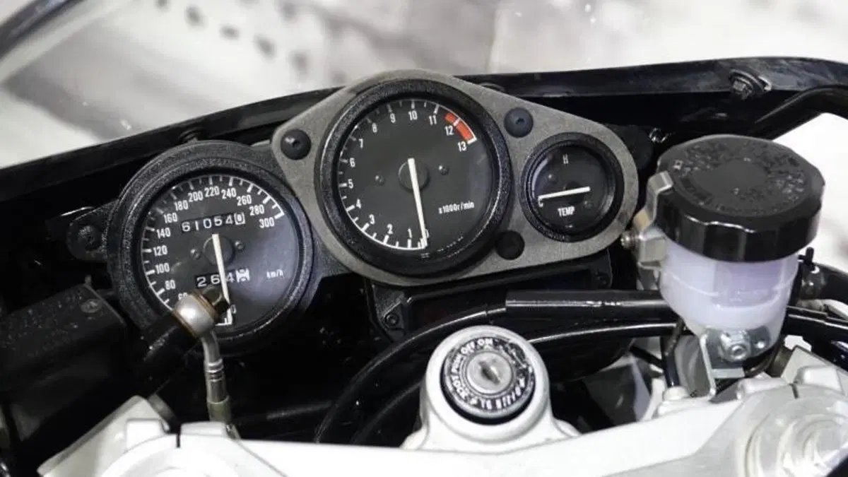 Yamaha FZR 1000 Exup (1991 - 93)  (6)