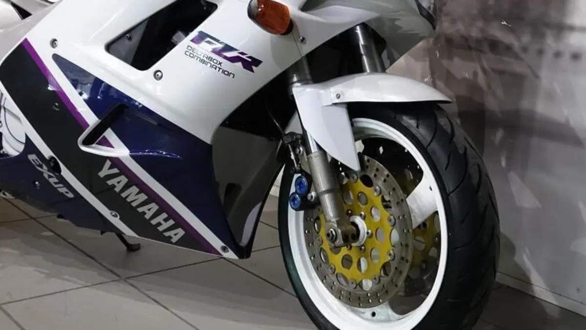 Yamaha FZR 1000 Exup (1991 - 93)  (9)