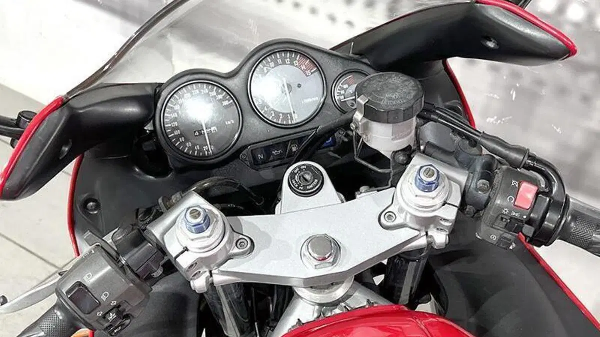 Yamaha YZF 600 R Thundercat  (6)