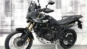 Yamaha Ténéré 700 World Raid (2022 - 25)  (7)