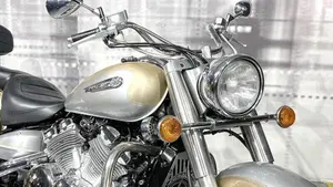Yamaha XVZ 1300 Royal Star (1996 - 02)  (9)