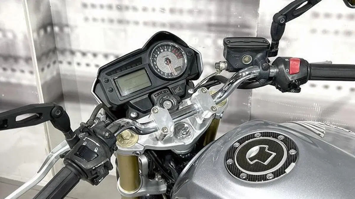 Honda Hornet 600 (2005 - 06)  (6)