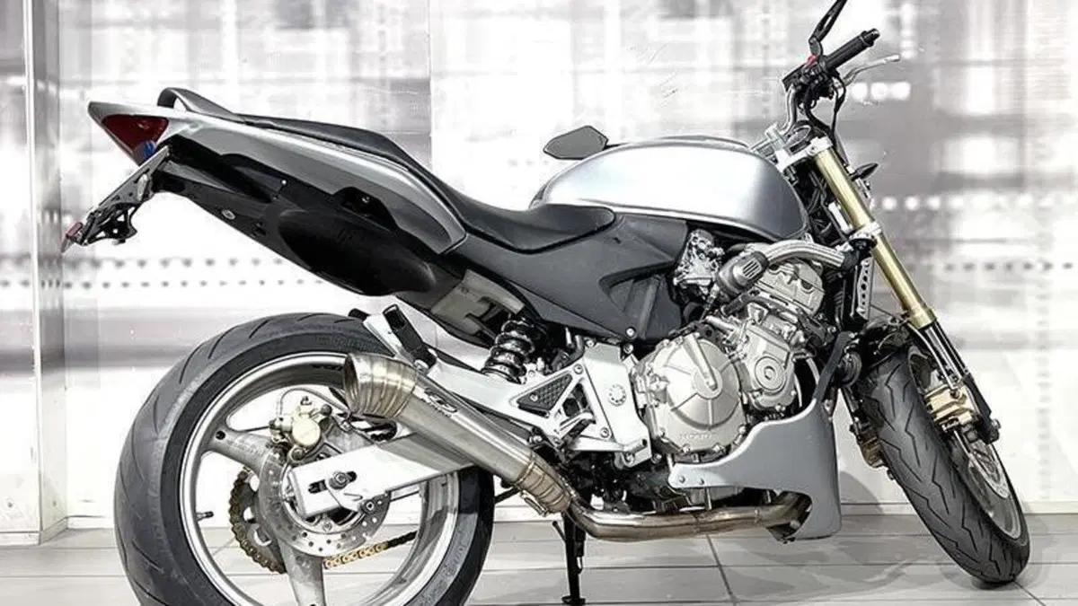 Honda Hornet 600 (2005 - 06)  (8)