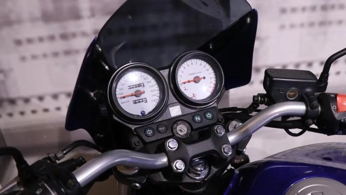 Honda Hornet 600 (2000 - 02)  (6)